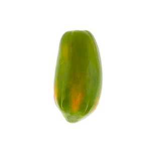 มะละกอฮอลแลนด์ดิบ (   Holland Papaya) 120/กก