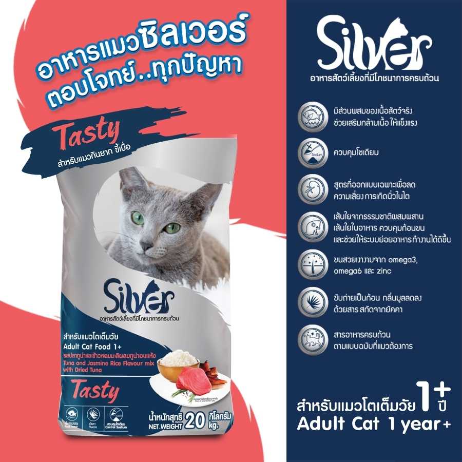 แพ็คย่อย 1 กก | Silver Tasty  1 กก. x 20 ถุง (20 KG) แถมพัดลมมือถือ