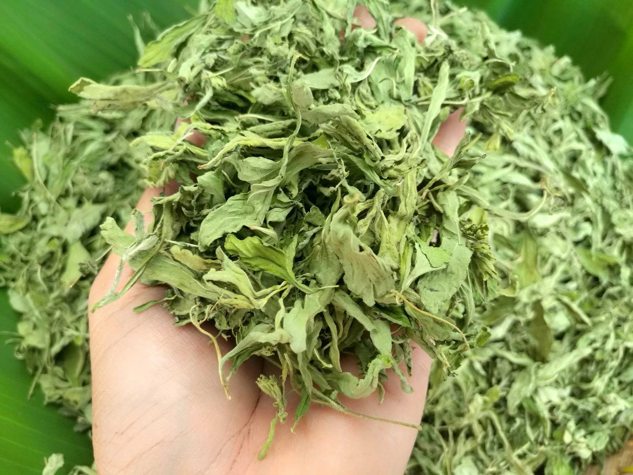 Stevia ใบชาหญ้าหวาน 20 กรัม