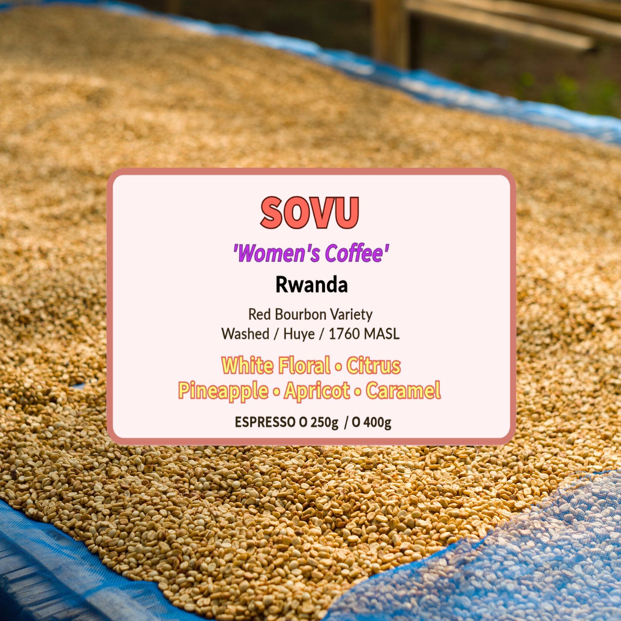 Sovu ( Espresso Roasted )