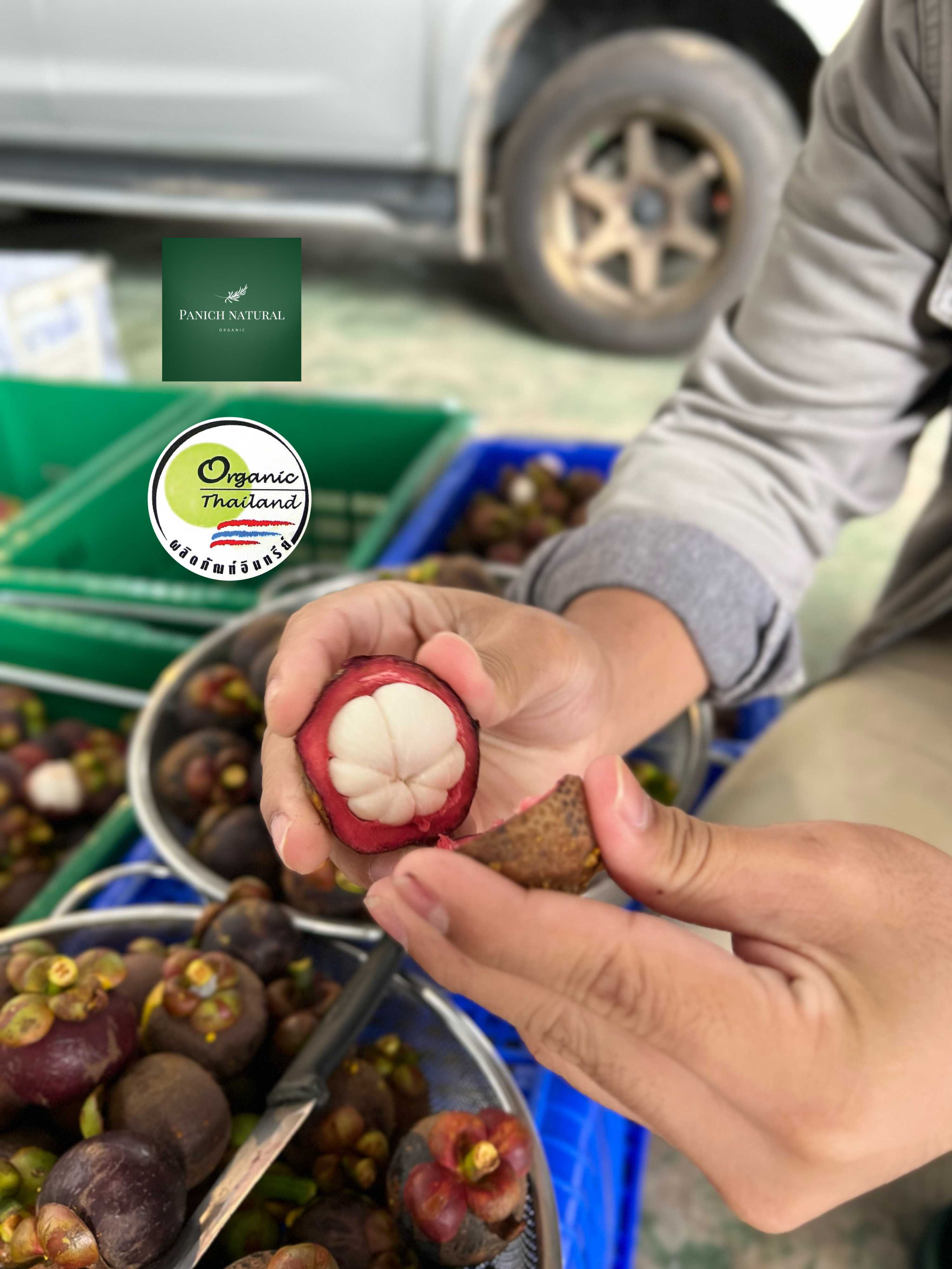 มังคุดจิ๋ว Organic 100% (5.kg./กล่อง)
