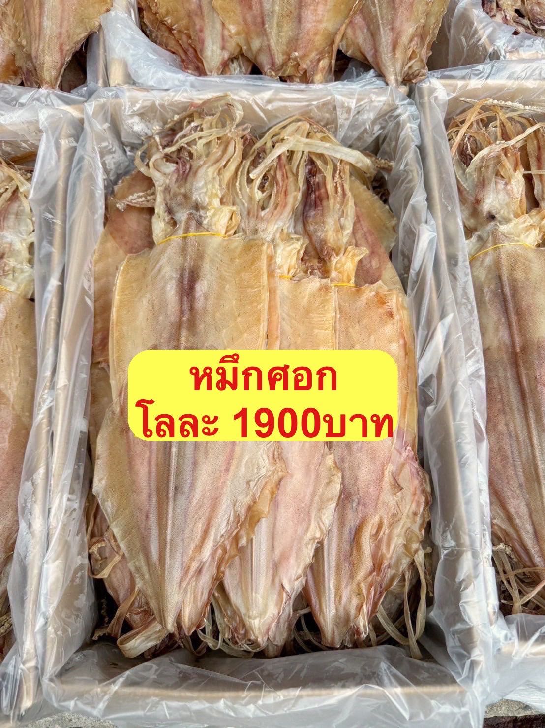 หมึกศอก 5kg โลละ  1880