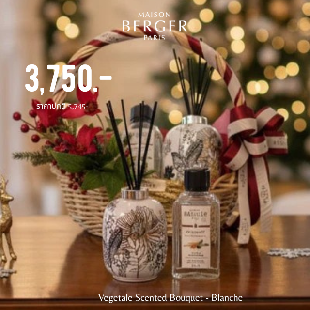 Vegetale Scented Bouquet - Blanche + 200ml กลิ่นที่กำหนด (GIFT SET)