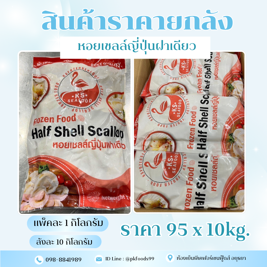 (ยกลัง) หอยเชลล์ญี่ปุ่นฝาเดียว 1kg. ลัง 10แพ็ค