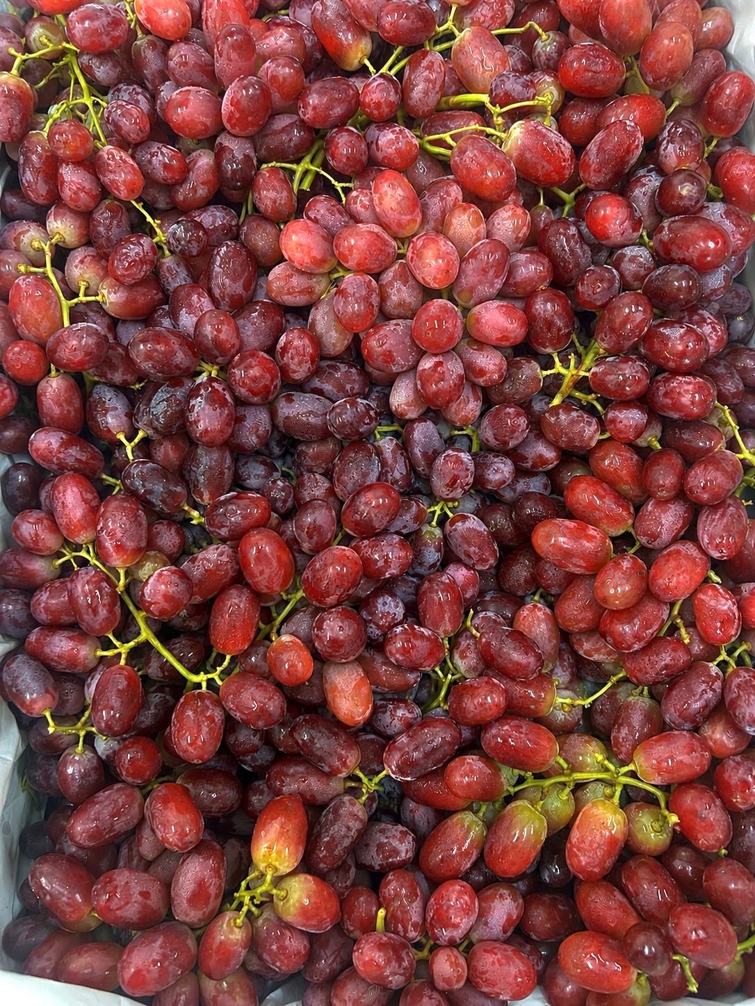 มาใหม่ องุ่นเเดงไร้เมล็ด  400 g.  ( Red Seedless Grapes AUS )