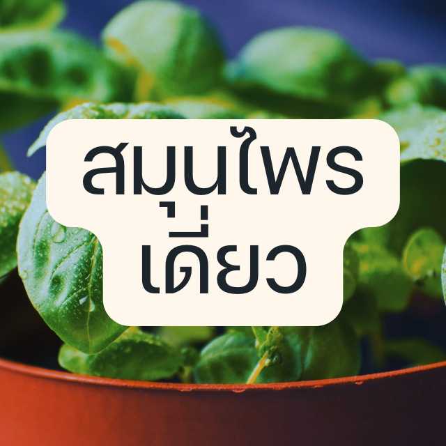 An Image