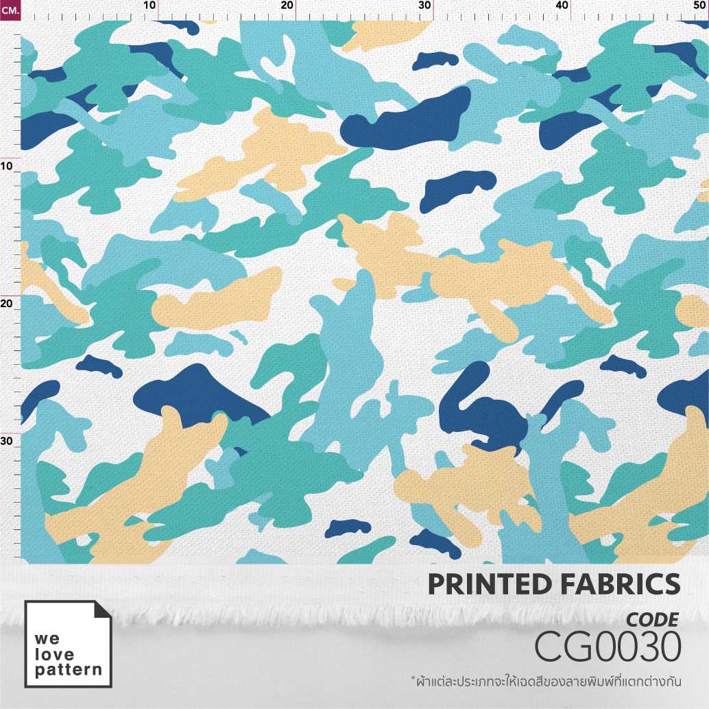 รหัสลาย : CG0030