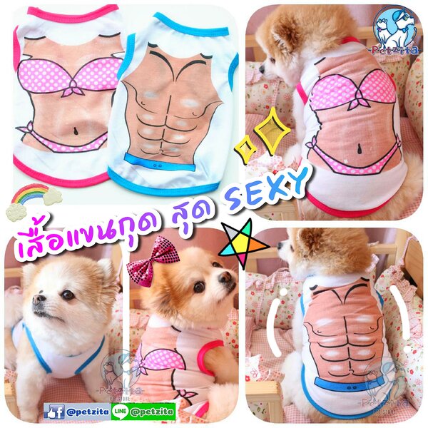 🇹🇭พร้อมส่ง🇹🇭👙🩲⛱ เสื้อแขนกุด สุด SEXY ลาย บิกินี่ & ซิกแพ็ค 🌈 เสื้อสุนัข หมา ชุดแมว