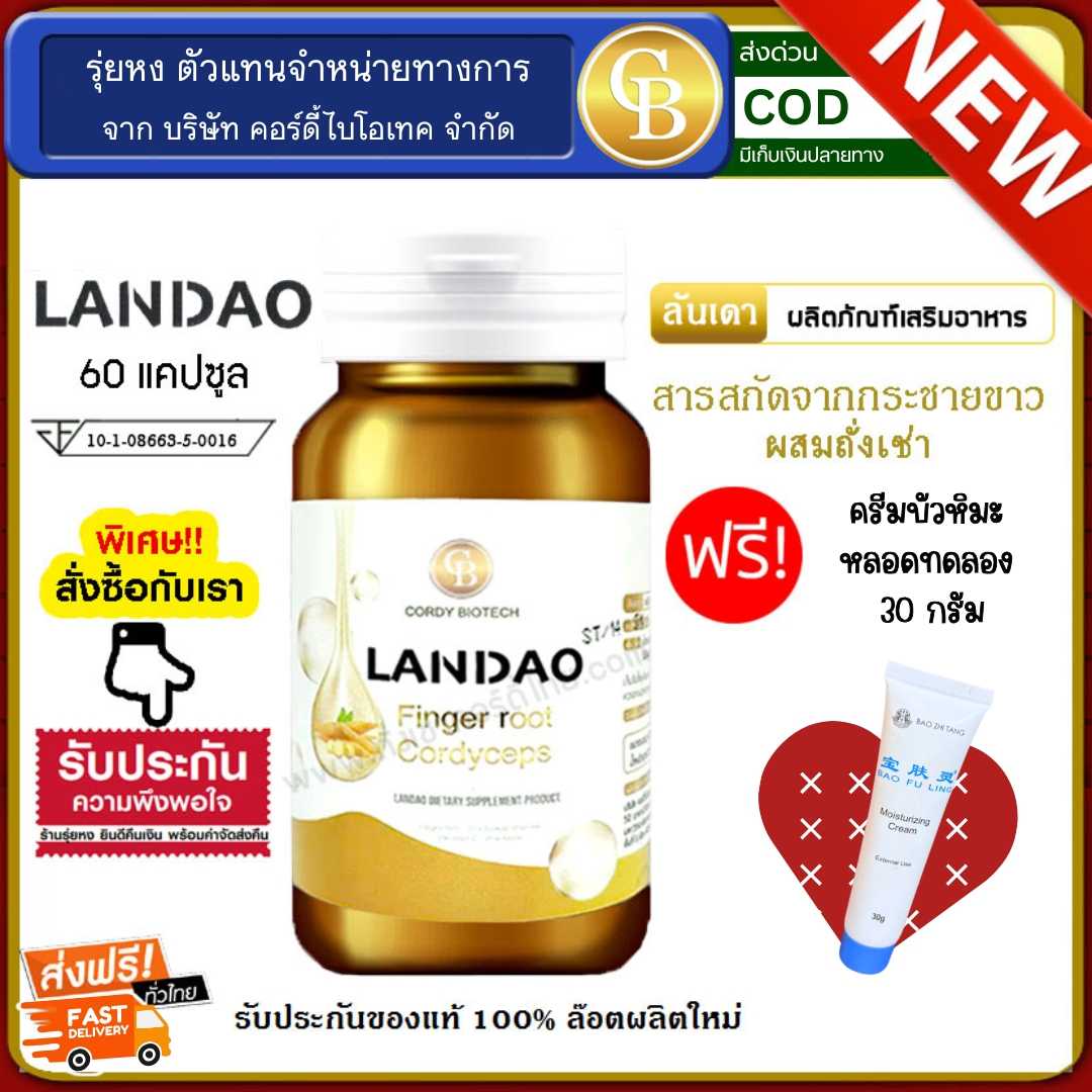 Landao ลันเดา สารสกัดกระชายขาว ผสมถั่งเช่า เสริมภูมิต้านทาน 1 ขวด แถม ครีมบัวหิมะ 30 กรัม