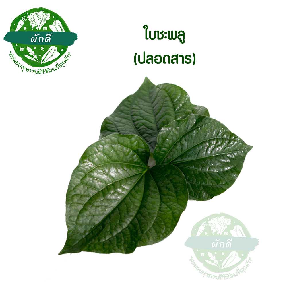 ใบชะพลู ปลอดสาร 250 กรัม
