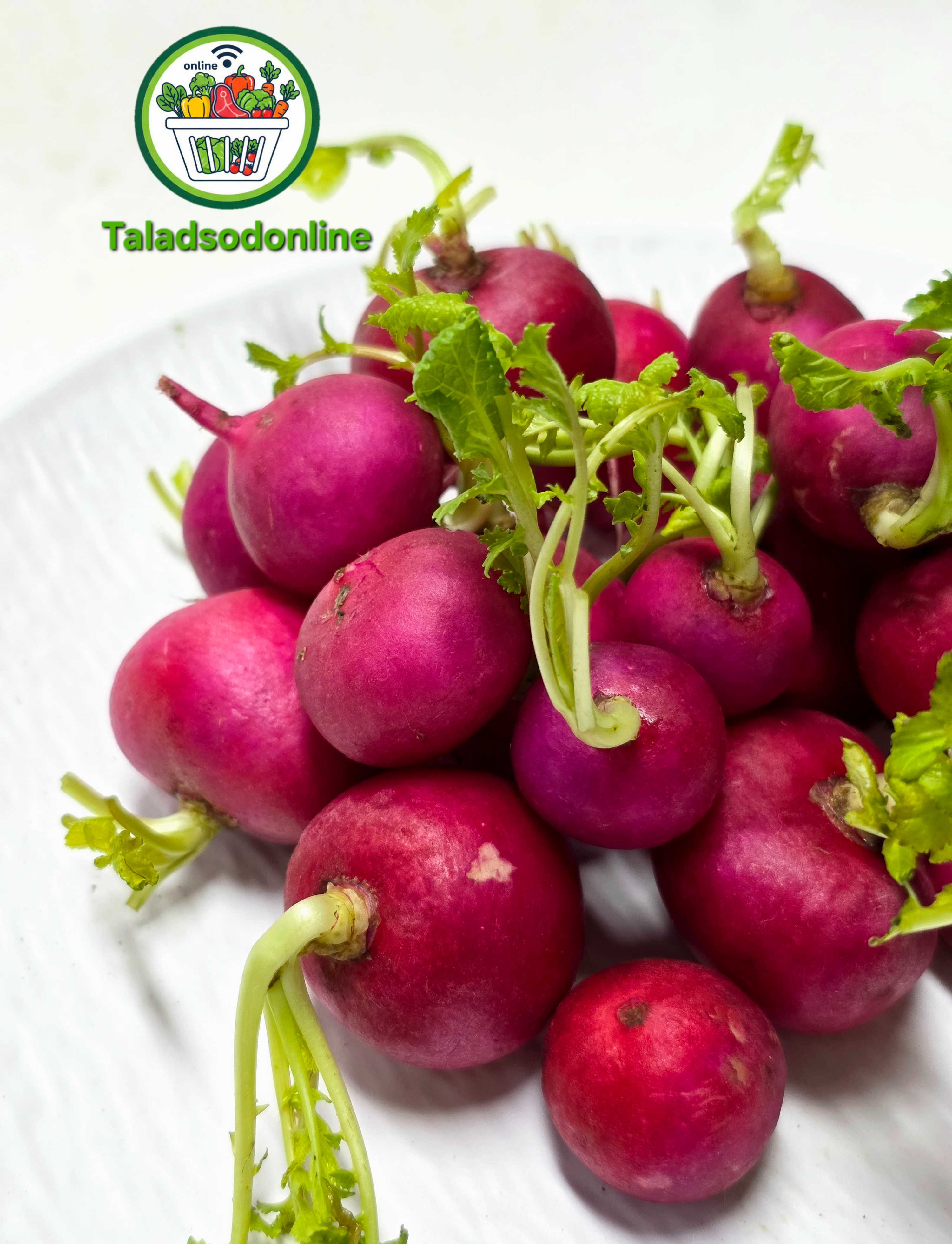 แรดดิช Radish สด สะอาด รับประกันคุณภาพ