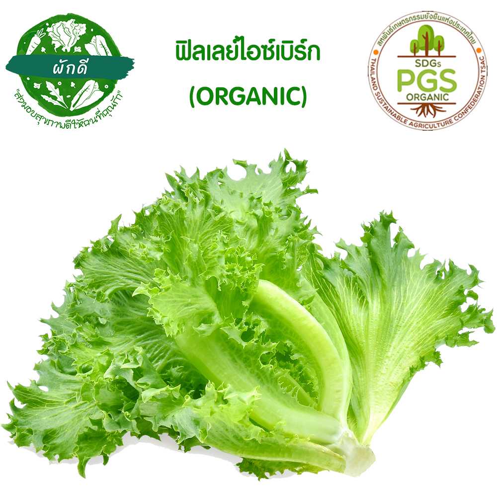 ผักสลัด ฟิเลย์ไอซ์เบิร์ก ออแกนิก (Frilly Iceberg Lettuce)  250 กรัม