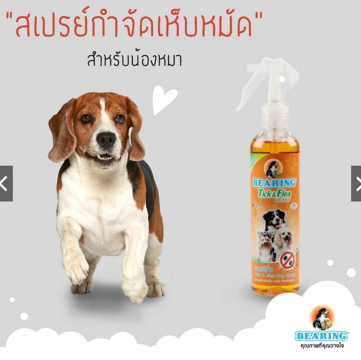 BEARING สเปรย์กำจัดเห็บหมัดสุนัข เห็บ หมัด หมา Tick & Flea Dog Spray 250ml.
