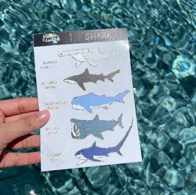 shark sticker