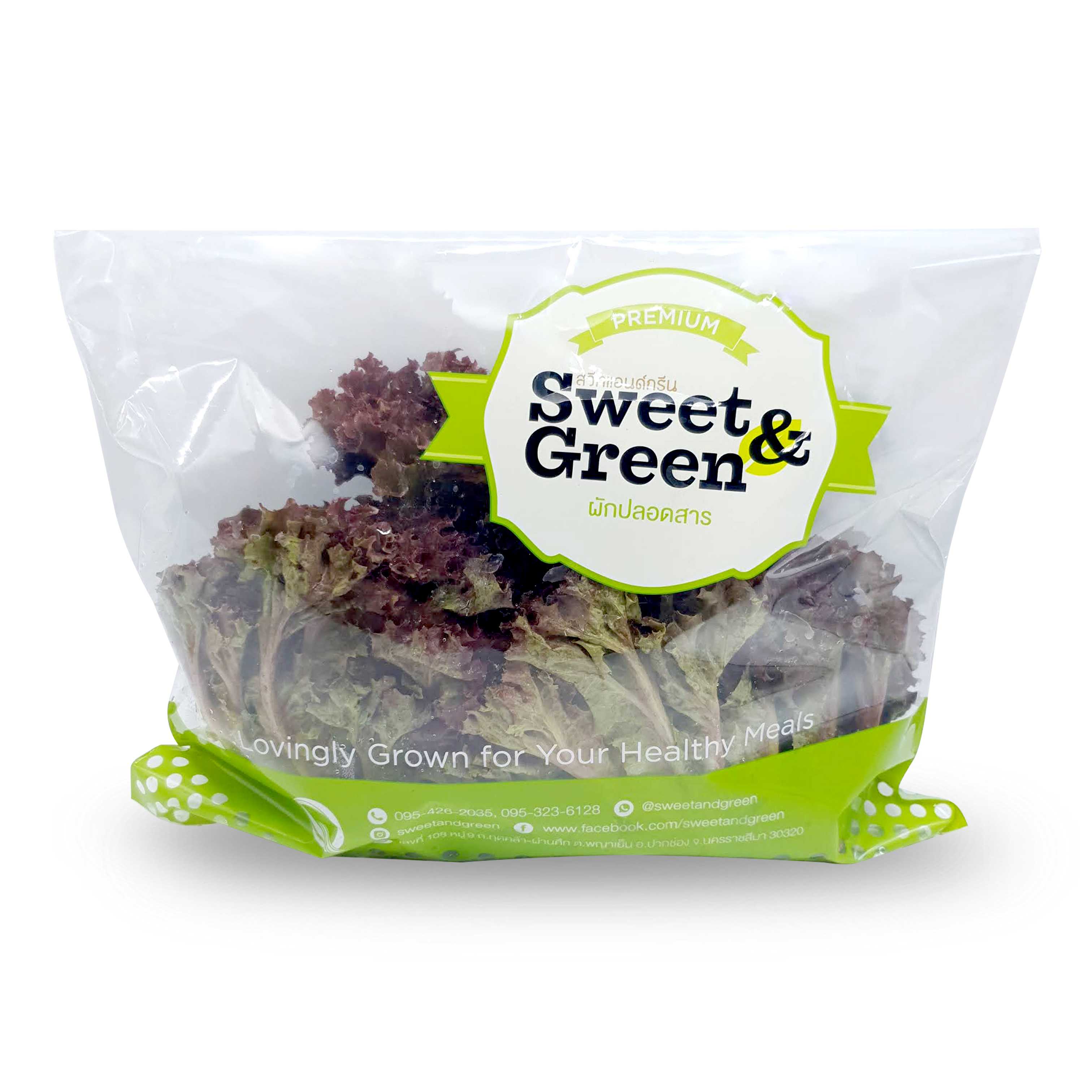 เรดคอรัล (Red Coral Lettuce)