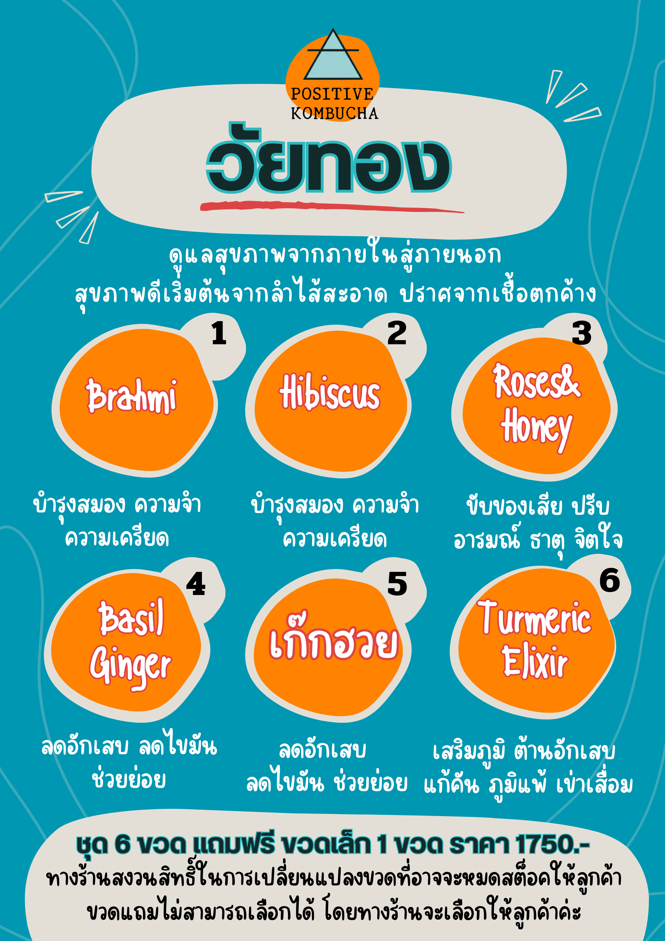 คอมบูฉะ ชุดวัยทอง