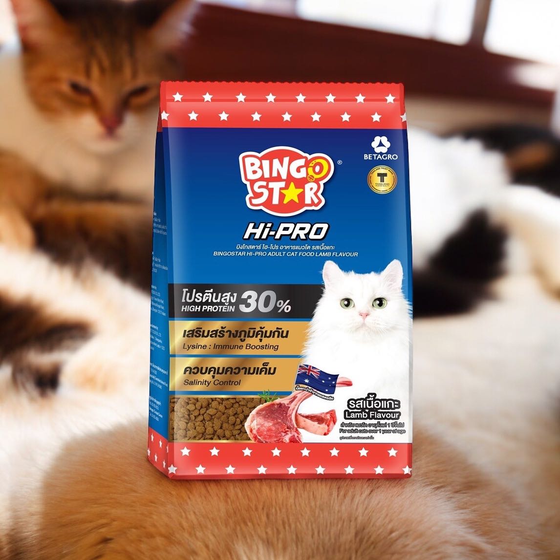 Bingo Hi-Pro อาหารแมว โปรตีนสูง บิงโกสตาร์ Hi-PRO ขนาด 1 kg รสเนื้อแกะ
