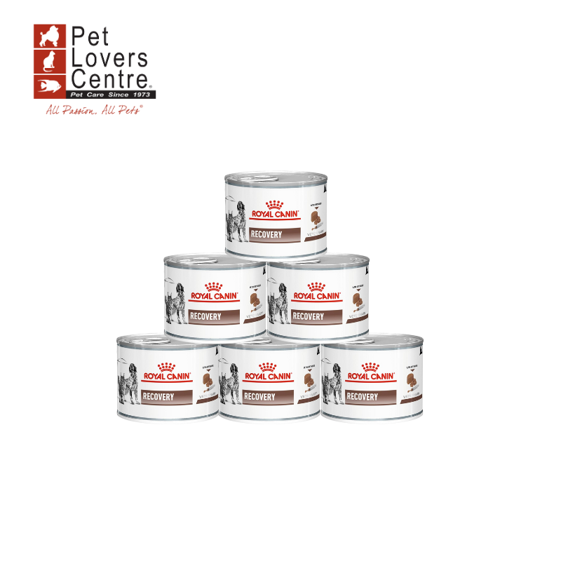 ROYAL CANIN (DR.) สุนัขและแมวประกอบการรักษาระยะพักฟื้น ดูแลหลังผ่าตัด เปียก RECOVERY 195 กรัม x 6