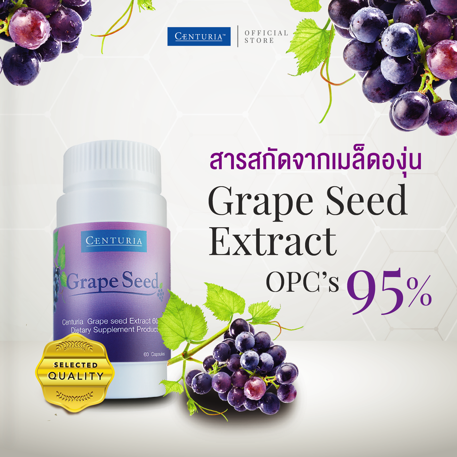 CENTURIA สารสกัดจากเมล็ดองุ่น เกรพซีด OPC's 95% 60 แคปซูล (Grape Seed Extract)