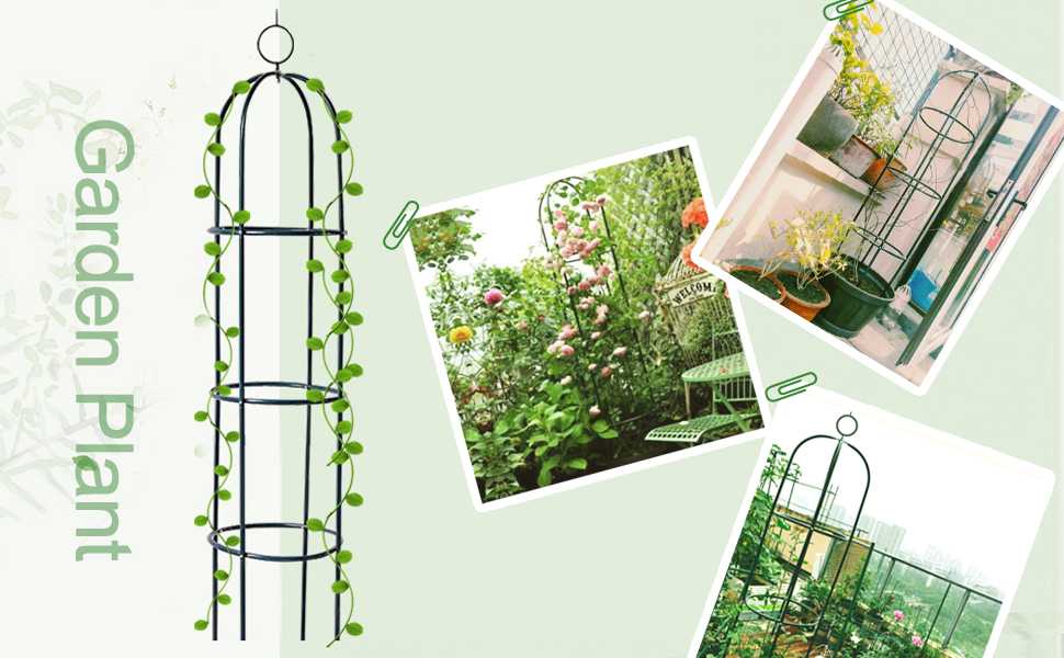 ซุ้มกุหลาบ ทรงตั้ง สูง188cm (40X188cm)