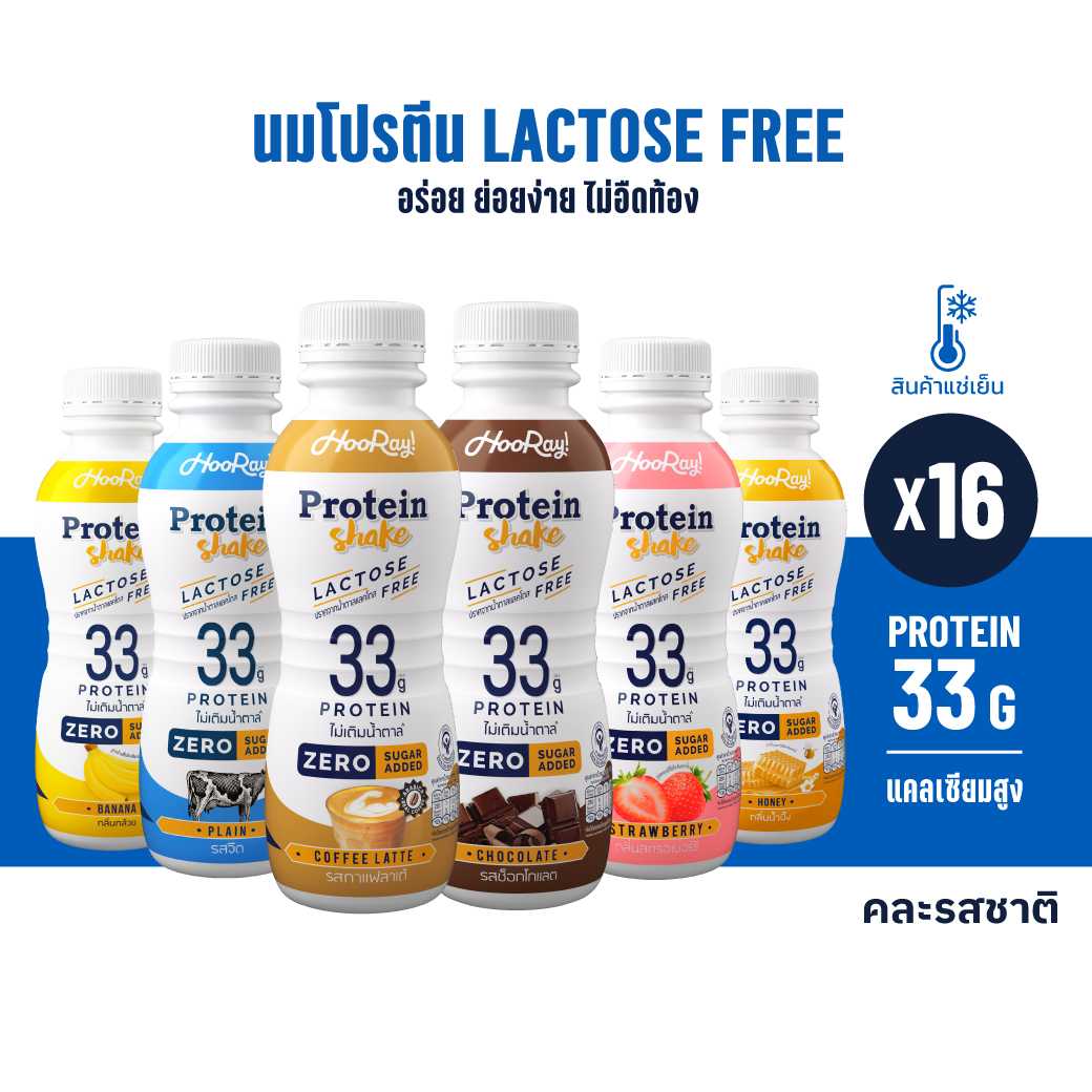 [ตะกร้ากาแฟ☕️] Hooray! Protein Shake แพ็ค  16 ขวด - นมโปรตีนสูตร Lactose Free