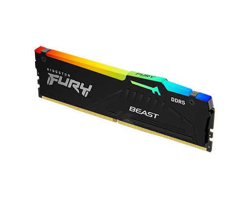 Kingston 5600MHz FURY Beast DDR5 RGB - หน่วยความจำ (แรมพีซี)