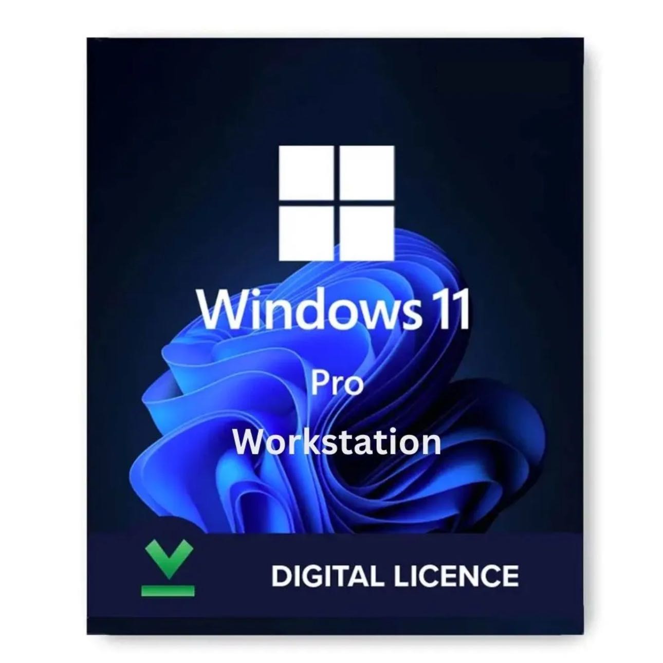 Windows 11/10 Pro Workstation License Product Key (ส่งทางแชท)