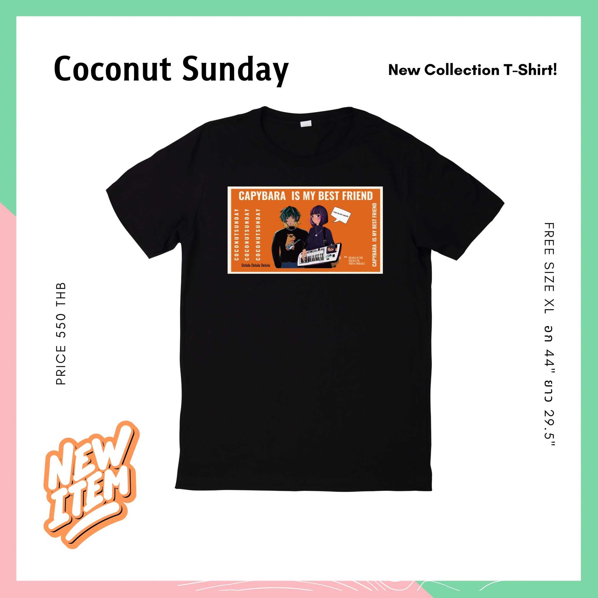 Limited Edition Coconut Sunday T-shirt Delulu - Capybara is my best friend