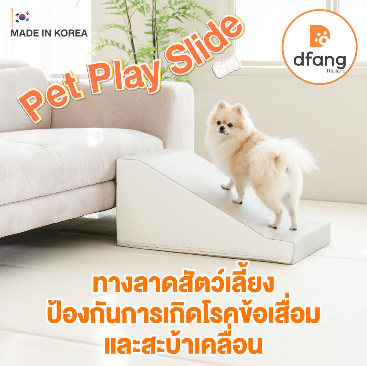 Dfang - Pet Play Slide ทางลาดสุนัข-แมว ทางลาดสัตว์เลี้ยง มี 2 ขนาด | 29G