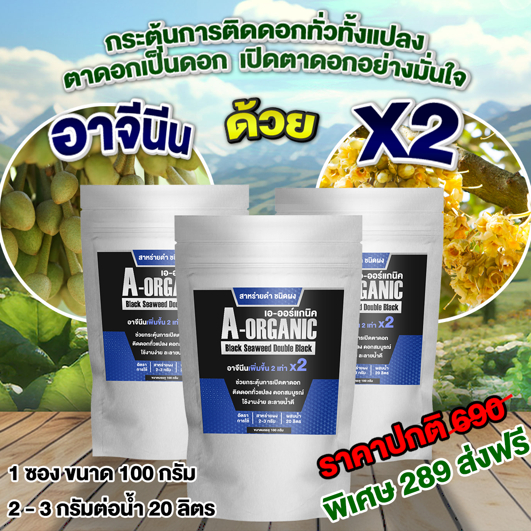 เอ-ออร์แกนิค สาหร่ายดำชนิดผง