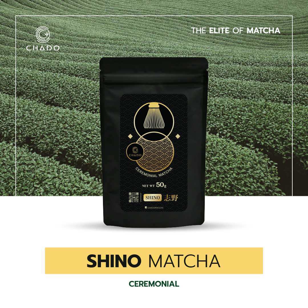 SHINO MATCHA ชิโนะ มัทฉะ (CHADO BRAND) Ceremonial