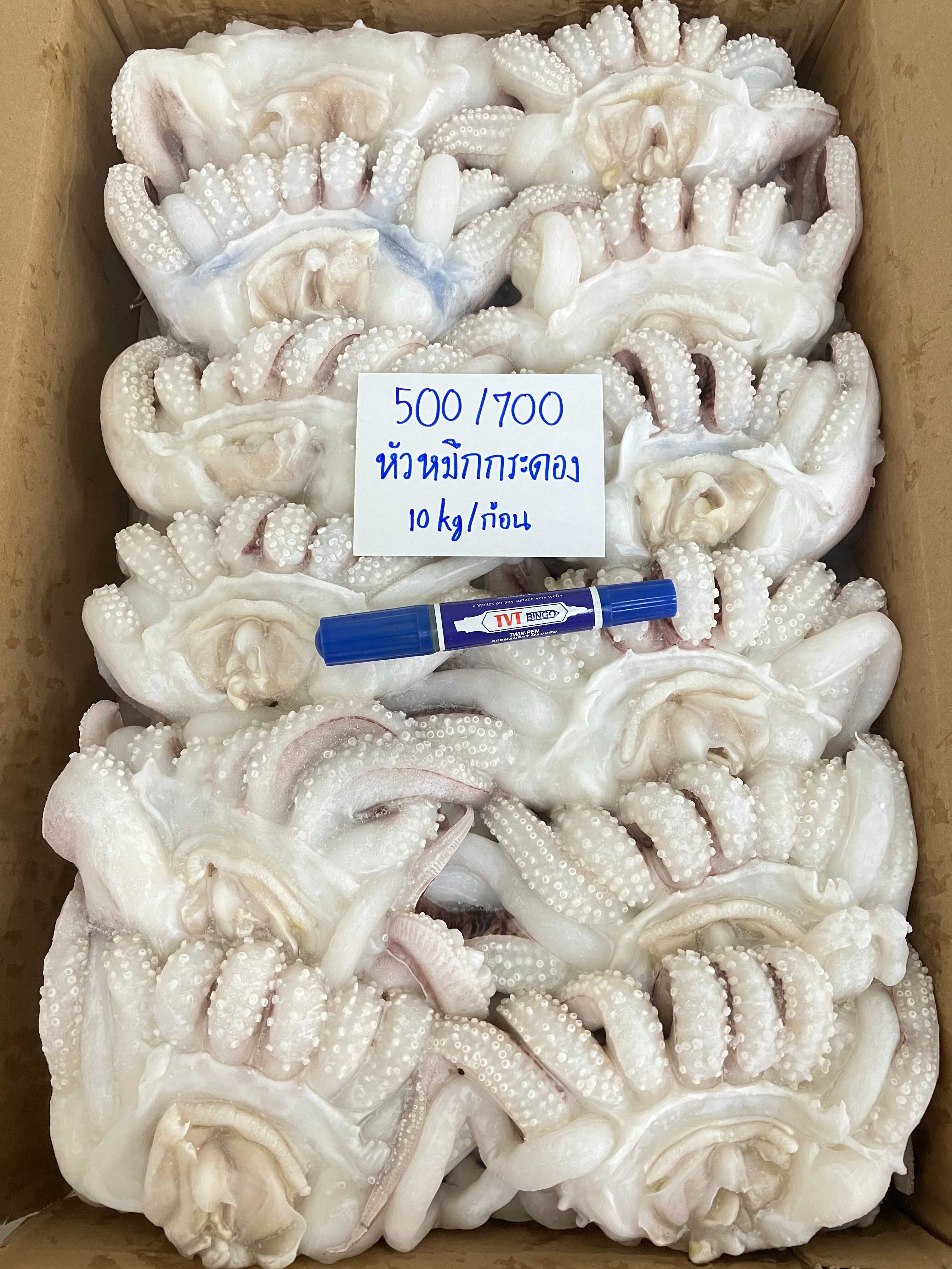 (500/700 เทปเขียว) หัวหมึกกระดอง 10kg/ก้อน