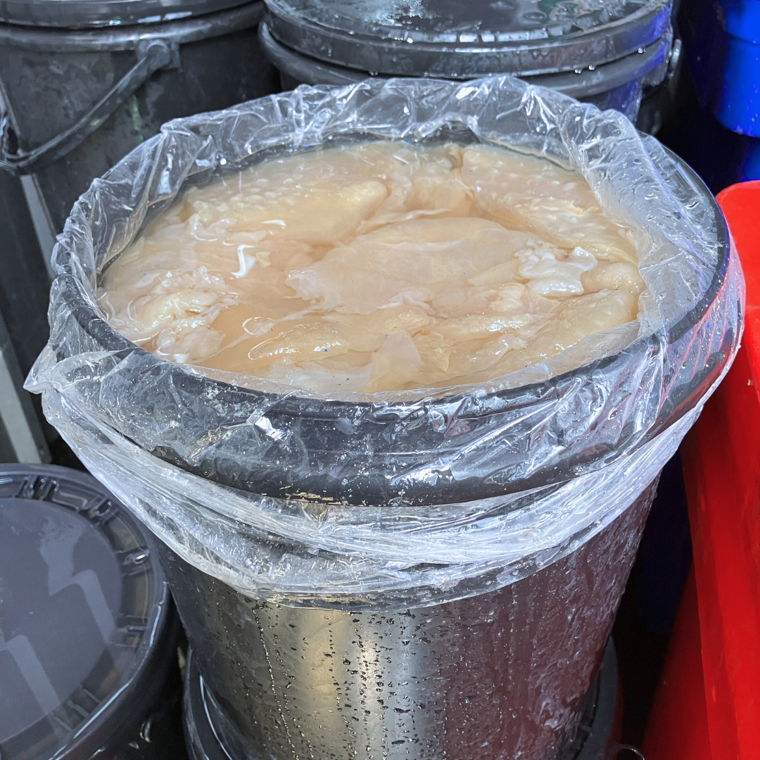 (ถัง ผ่า4) แมงกะพรุน 16-18 kg / ถัง (ส่ง 5+890 บาท)