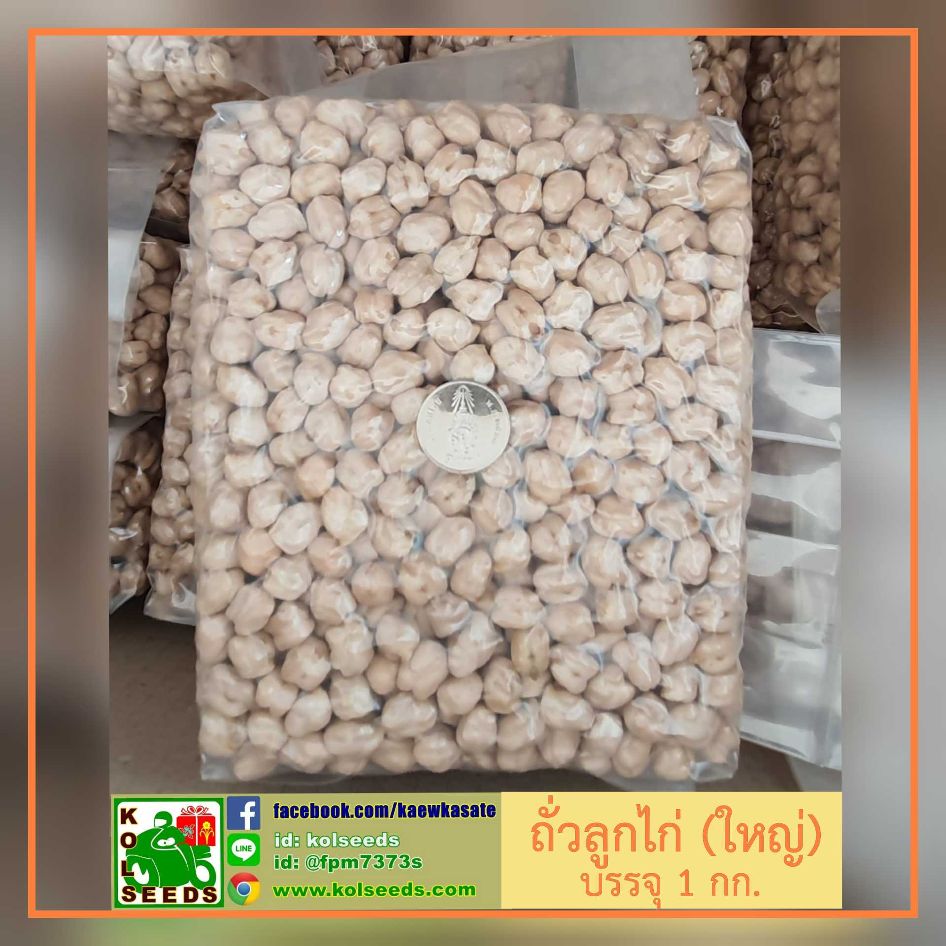จำหน่ายถั่วลูกไก่ Chick Peas ถั่วโชเล่ย์ ถั่วหัวช้าง #DF#, #HI# , #HF#