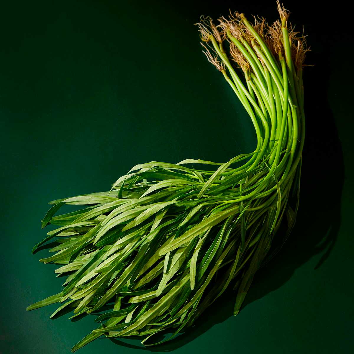 ผักบุ้งจีน Chinese Morning Glory /300g.