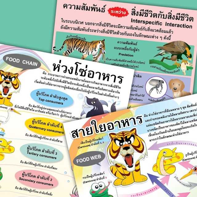 โปสเตอร์พลาสติก  PP วิชาวิทยาศาสตร์  ห่วงโซ่อาหารและความสัมพันธ์ของสิ่งมีชีวิต