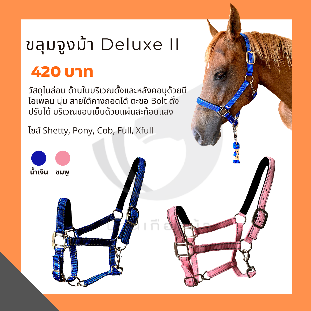 ขลุมจูงม้า Deluxe II
