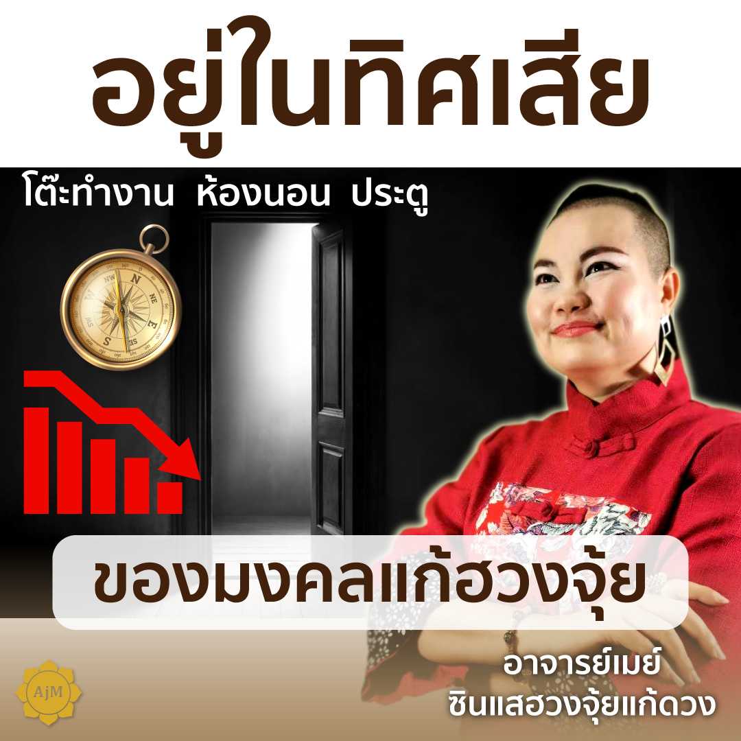 Ajanmay โมบายฮวงจุ้ย ของมงคล เสริมดวง สำหรับบ้านที่พบปัญหามีประตูหน้าต่างอยู่ทิศไม่ดี (นกคุ้ม)