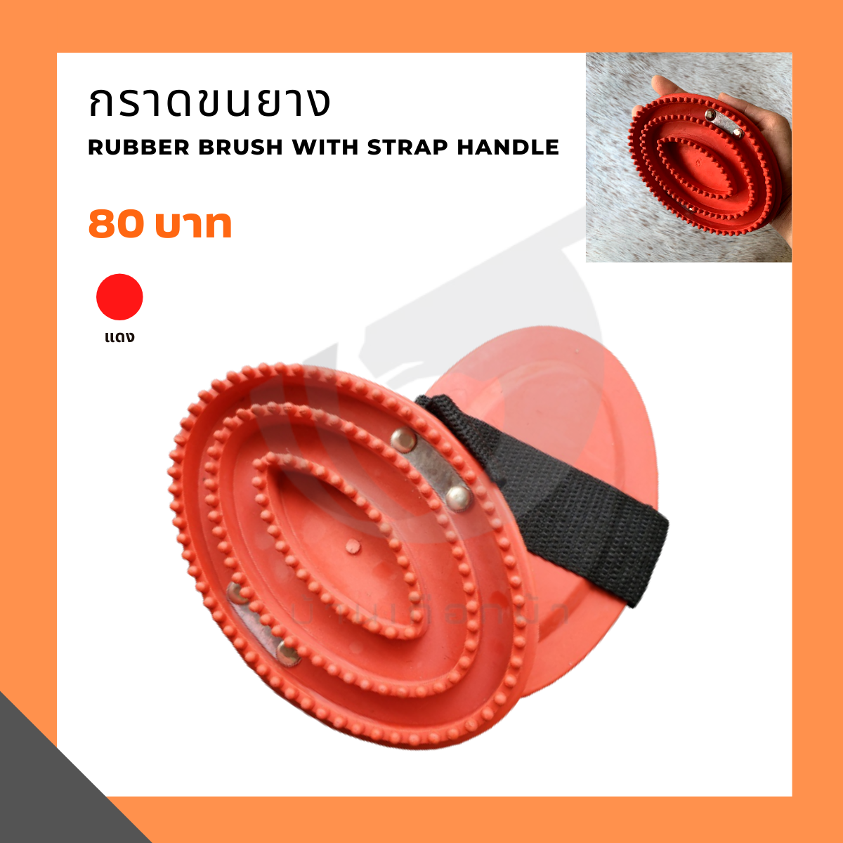 กราดขนยาง Rubber brush with strap handle