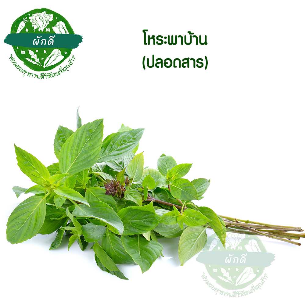 โหระพาบ้าน (ปลอดสาร) 150 กรัม