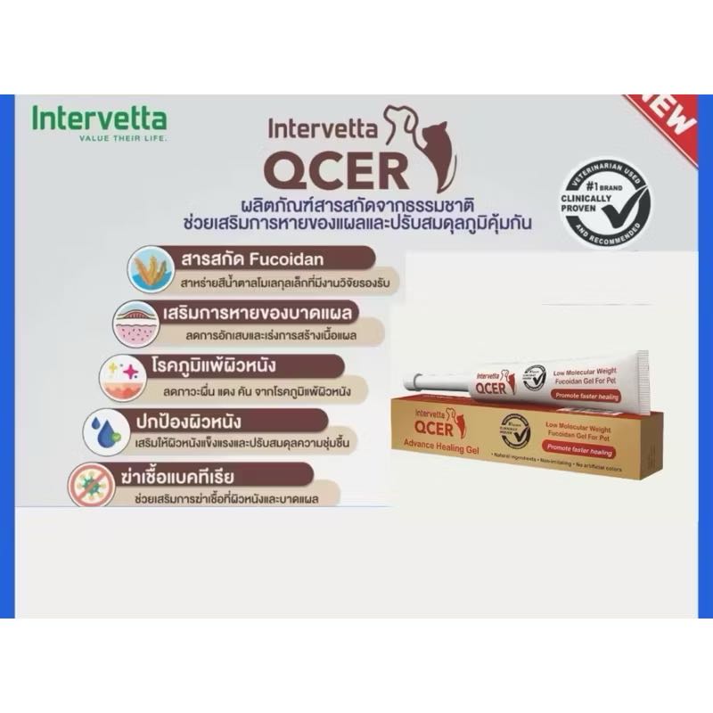 (( แบบเจล)) Intervetta QCER Advanced Healing Gel Exp.15/8/2026 ขนาด 15 g. สำหรับให้แผลช่วยให้หายเร็ว