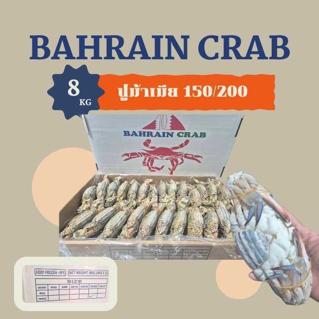(BAHRAIN F) ปูม้าเมีย 150/200 8kg/กล่อง