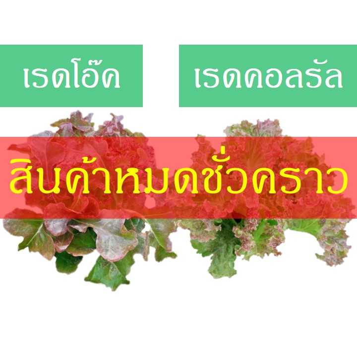 เรดโอ๊ค-เรดคอลรัล (200 กรัม)