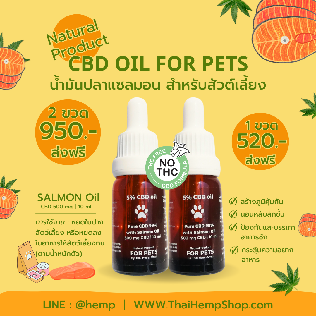 ส่งฟรี [2 ขวด]😋 รสแซลมอน | 5% น้ำมัน CBD 500 มก./10 มล.  | ช่วยเจริญอาหารสำหรับสัตว์เลี้ยง
