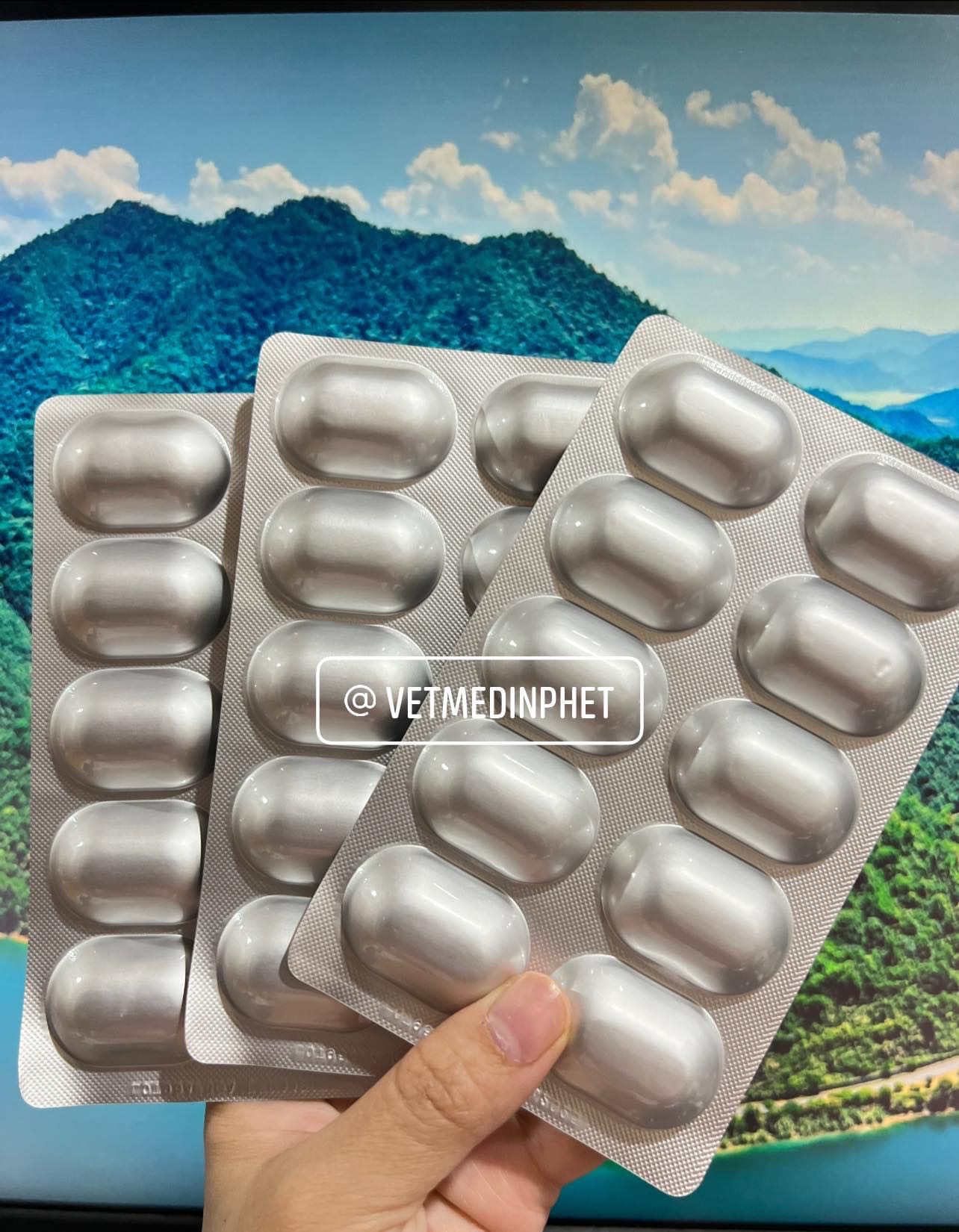 Vetmedin 5 mg  Chewable  แบบ 3 แผง