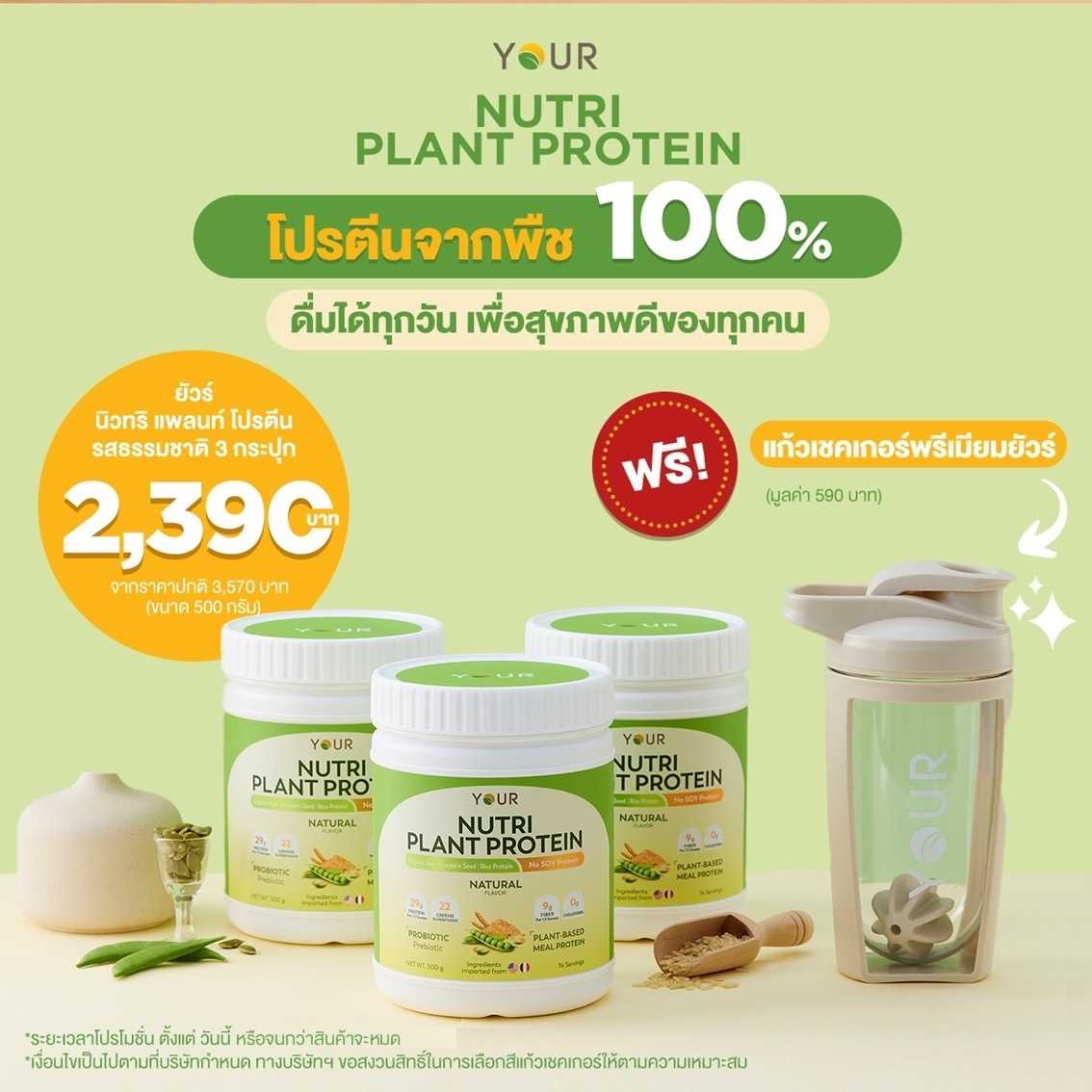 YOUR Nutri Plant Protein Natural Flavor (ยัวร์ นิวทริ แพลนท์ โปรตีน รสธรรมชาติ) แพ็กโปร 3 กระปุก