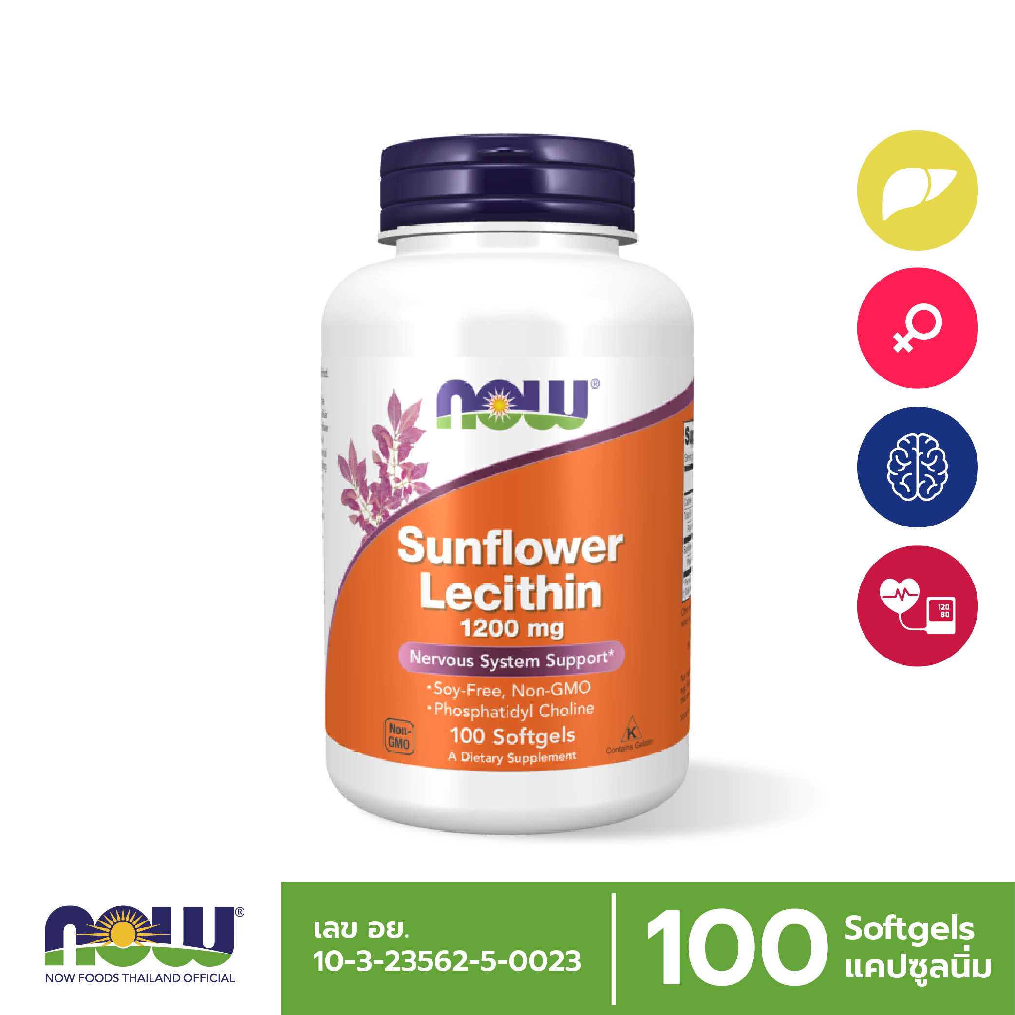 Sunflower Lecithin 1200 mg 100 Softgels บำรุงตับ สมองระบบประสาท
