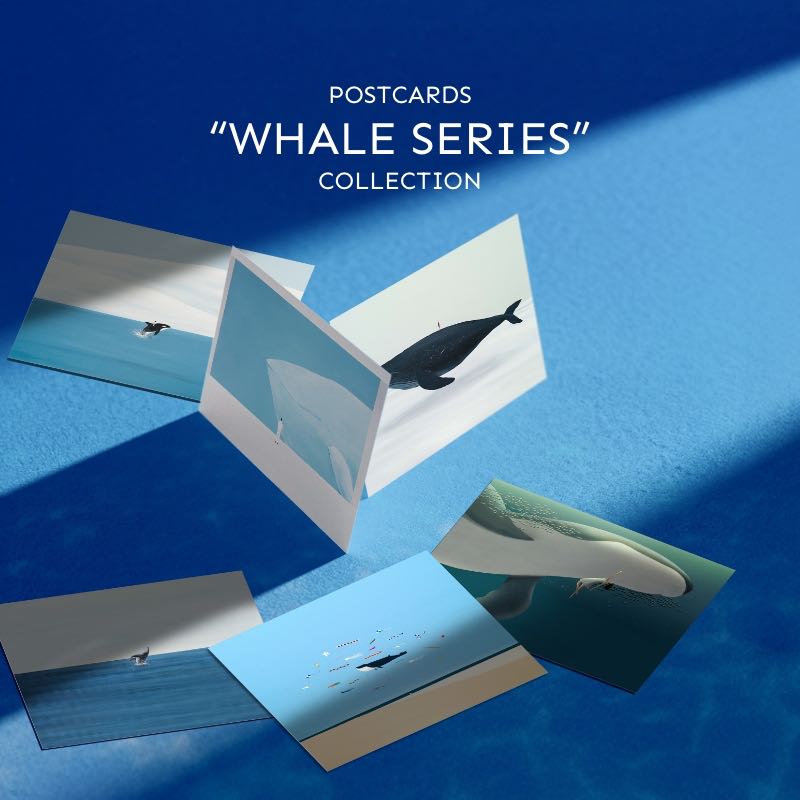 POSTCARD | whale series