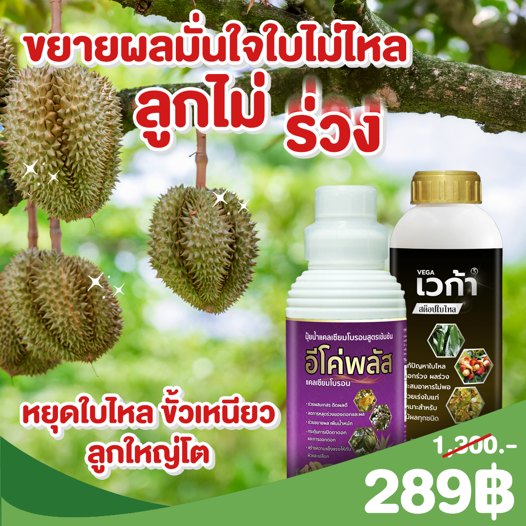 ชุดขยายผลใบไม่ไหล ลูกไม่ล่วง