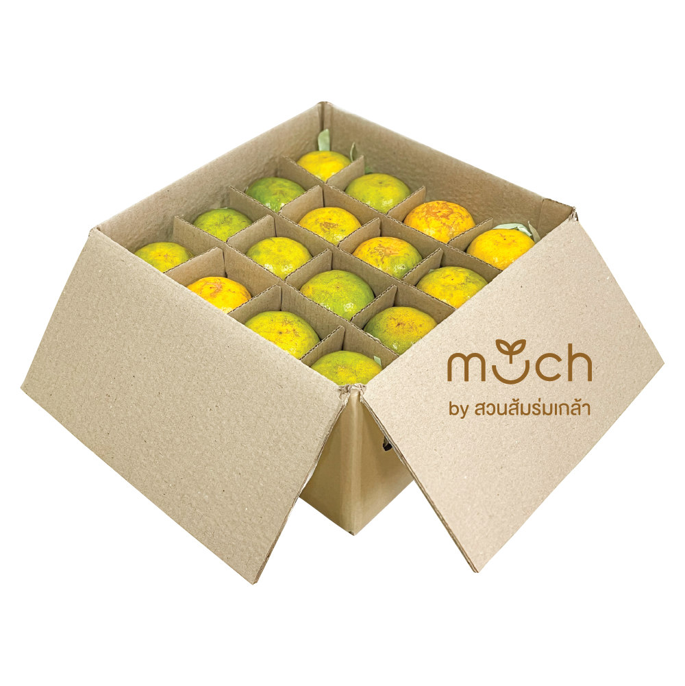 มีจำกัด!!  สายน้ำผึ้ง L (No.84) ทานผลขนาดกลาง| Much by สวนส้มร่มเกล้า